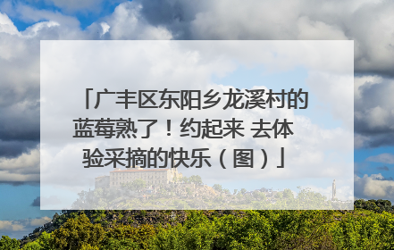 广丰区东阳乡龙溪村的蓝莓熟了！约起来 去体验采摘的快乐（图）