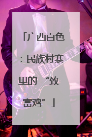 广西百色：民族村寨里的 “致富鸡”