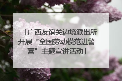 广西友谊关边境派出所开展“全国劳动模范进警营”主题宣讲活动