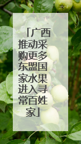 广西推动采购更多东盟国家水果进入寻常百姓家