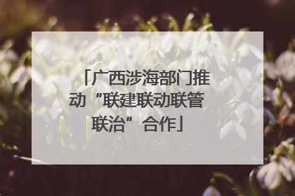 广西涉海部门推动“联建联动联管联治”合作