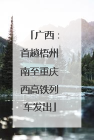 广西：首趟梧州南至重庆西高铁列车发出