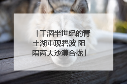干涸半世纪的青土湖重现碧波 阻隔两大沙漠合拢