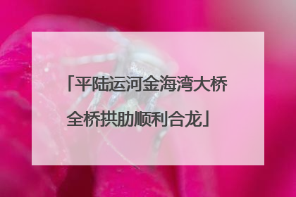 平陆运河金海湾大桥全桥拱肋顺利合龙