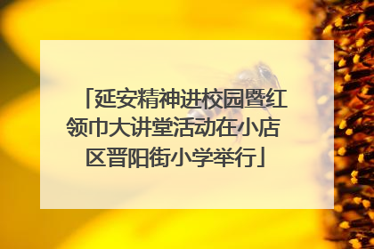 延安精神进校园暨红领巾大讲堂活动在小店区晋阳街小学举行