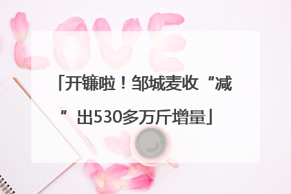 开镰啦！邹城麦收“减”出530多万斤增量