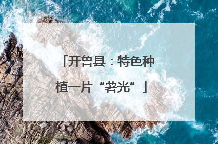 开鲁县：特色种植一片“薯光”