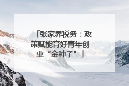张家界税务：政策赋能育好青年创业“金种子”