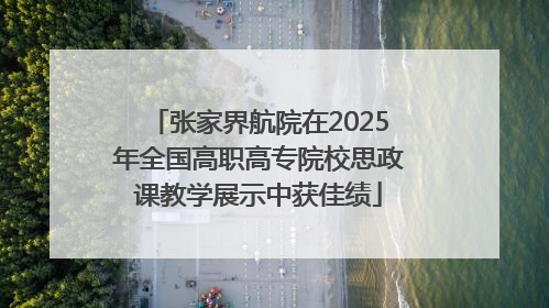 张家界航院在2025年全国高职高专院校思政课教学展示中获佳绩