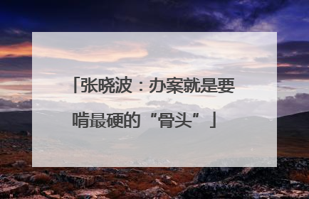 张晓波：办案就是要啃最硬的“骨头”