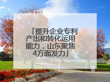 提升企业专利产出和转化运用能力，山东聚焦4方面发力