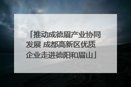 推动成德眉产业协同发展 成都高新区优质企业走进德阳和眉山