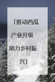推动西瓜产业升级 助力乡村振兴