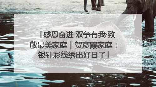 感恩奋进 双争有我·致敬最美家庭｜贺彦霞家庭：银针彩线绣出好日子