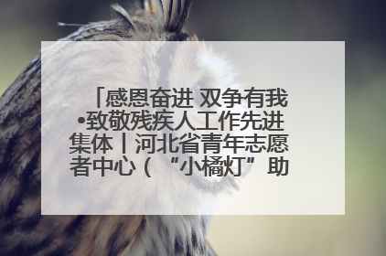感恩奋进 双争有我•致敬残疾人工作先进集体丨河北省青年志愿者中心（“小橘灯”助残接力计划实施团队）：用温暖陪伴，守护特殊孩子成长