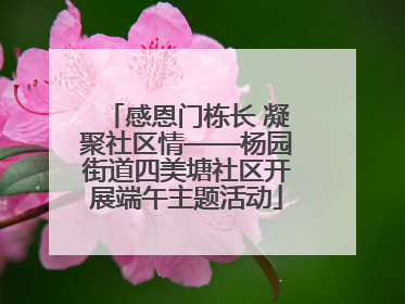 感恩门栋长 凝聚社区情——杨园街道四美塘社区开展端午主题活动