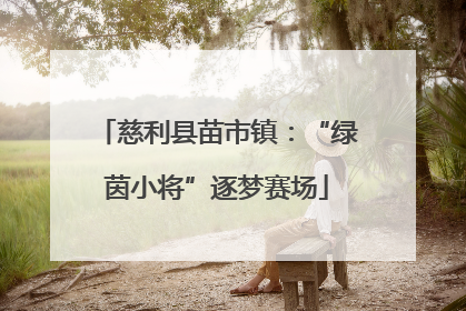 慈利县苗市镇：“绿茵小将”逐梦赛场