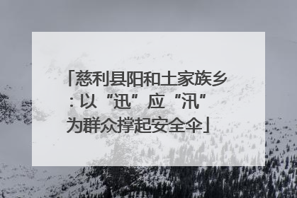 慈利县阳和土家族乡：以“迅”应“汛” 为群众撑起安全伞