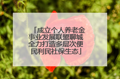 成立个人养老金事业发展联盟聊城全力打造多层次便民利民社保生态
