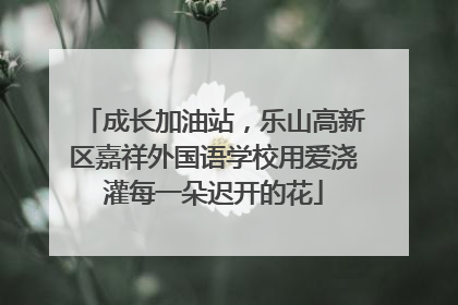 成长加油站，乐山高新区嘉祥外国语学校用爱浇灌每一朵迟开的花