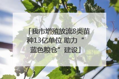 我市增殖放流8类苗种13亿单位 助力“蓝色粮仓”建设