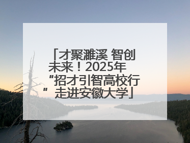 才聚濉溪 智创未来！2025年“招才引智高校行”走进安徽大学