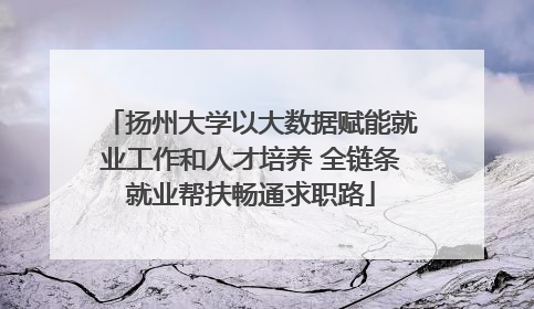 扬州大学以大数据赋能就业工作和人才培养 全链条就业帮扶畅通求职路