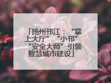 扬州邗江：“掌上大厅”“小邗”“安全大师”引领智慧城市建设
