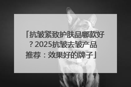 抗皱紧致护肤品哪款好？2025抗皱去皱产品推荐：效果好的牌子