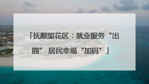 抚顺望花区：就业服务“出圈” 居民幸福“加码”