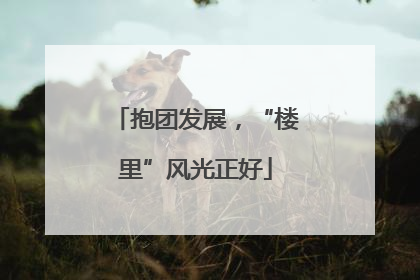 抱团发展，“楼里”风光正好