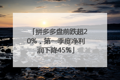 拼多多盘前跌超20%，第一季度净利润下降45%