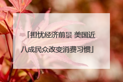 担忧经济前景 美国近八成民众改变消费习惯