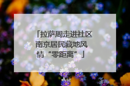 拉萨周走进社区 南京居民藏地风情“零距离”