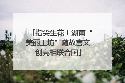 指尖生花！湖南“美丽工坊”随故宫文创亮相联合国