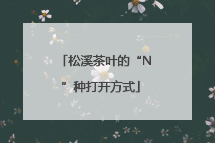 松溪茶叶的“N”种打开方式