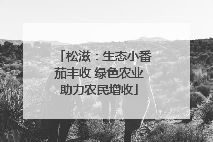 松滋：生态小番茄丰收 绿色农业助力农民增收