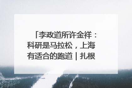 李政道所许金祥：科研是马拉松，上海有适合的跑道｜扎根上海，从0到1