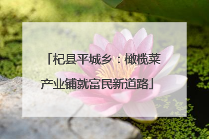 杞县平城乡：橄榄菜产业铺就富民新道路