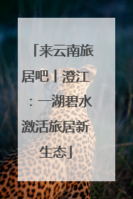来云南旅居吧丨澄江：一湖碧水激活旅居新生态