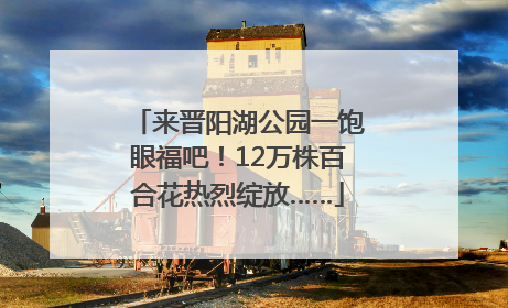 来晋阳湖公园一饱眼福吧！12万株百合花热烈绽放……