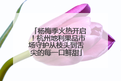 杨梅季火热开启！杭州地利果品市场守护从枝头到舌尖的每一口鲜甜
