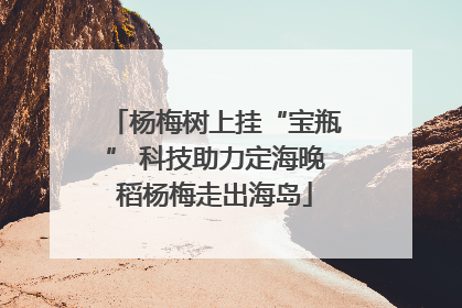 杨梅树上挂“宝瓶” 科技助力定海晚稻杨梅走出海岛