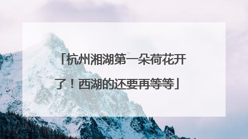 杭州湘湖第一朵荷花开了！西湖的还要再等等