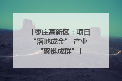 枣庄高新区：项目“落地成金” 产业“聚链成群”
