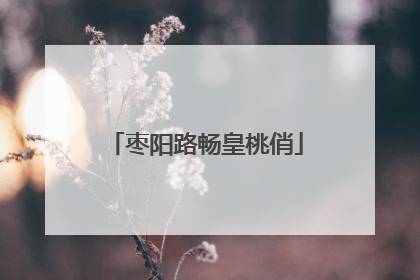 枣阳路畅皇桃俏