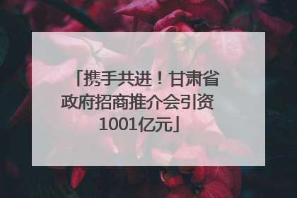 携手共进！甘肃省政府招商推介会引资1001亿元