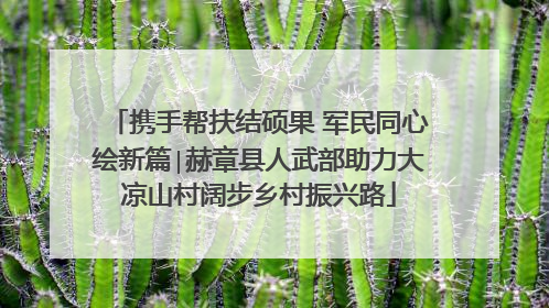 携手帮扶结硕果 军民同心绘新篇∣赫章县人武部助力大凉山村阔步乡村振兴路
