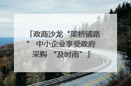 政商沙龙“架桥铺路” 中小企业享受政府采购 “及时雨”