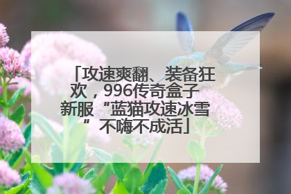 攻速爽翻、装备狂欢，996传奇盒子新服“蓝猫攻速冰雪”不嗨不成活